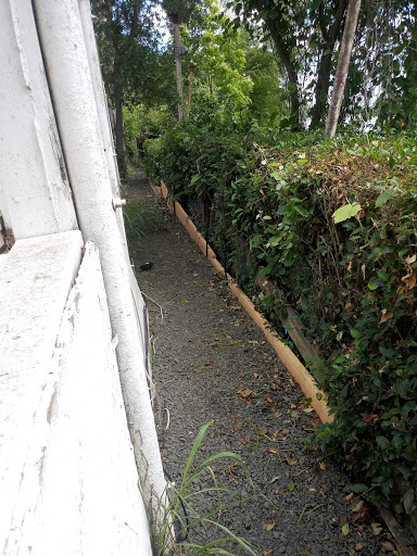 Scottys Landing image