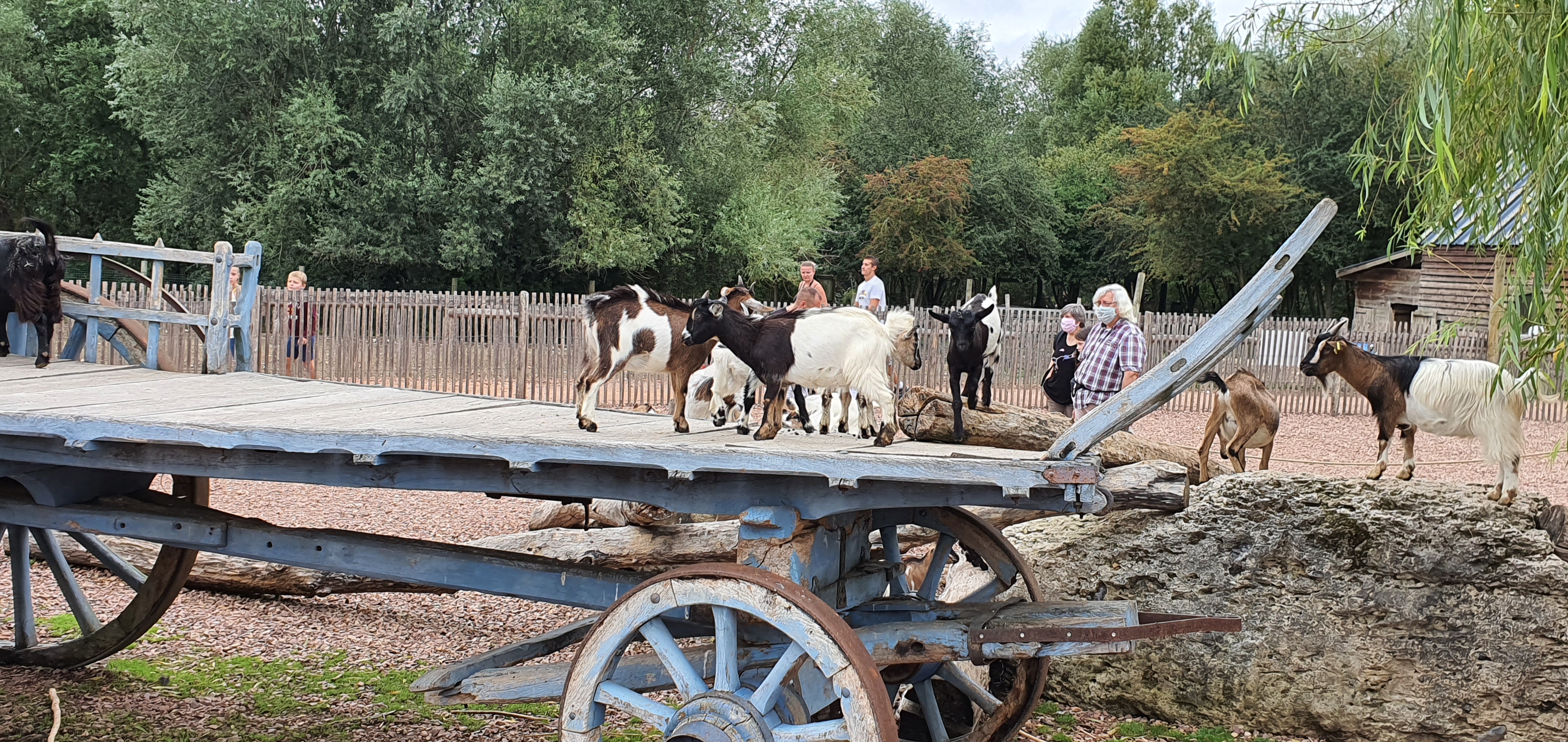 Photo n° 3 de l'avis de HELDER.E fait le 26/08/2020 à 17:41