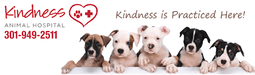 2130 University Blvd W, Wheaton, MD 20902, USA