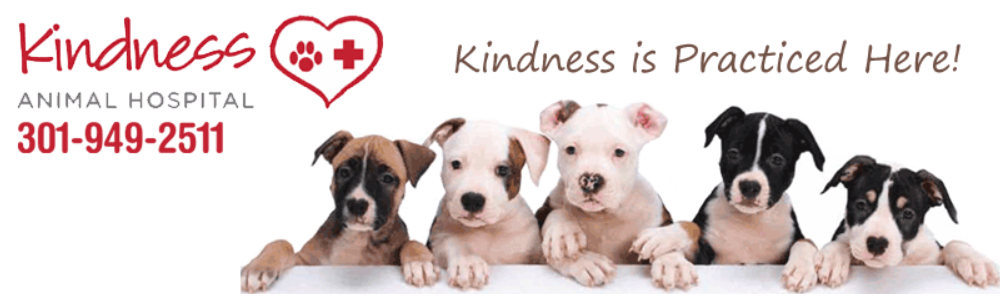 Kindness Animal Hospital