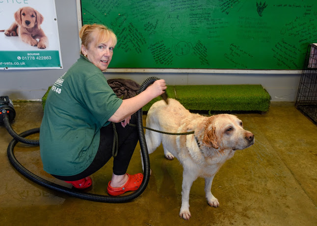 Well Dog Hydrotherapy - Peterborough