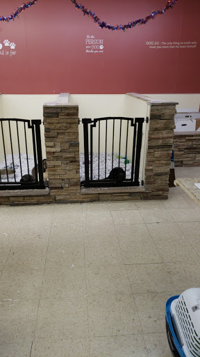 Pet Store «The Pet Shop», reviews and photos, 1988 MacArthur Rd, Whitehall, PA 18052, USA