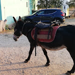 Photo n°3 de l'avis de claudio.a fait le 10/08/2020 à 22:26 sur le  AgriPaules à Dorgali