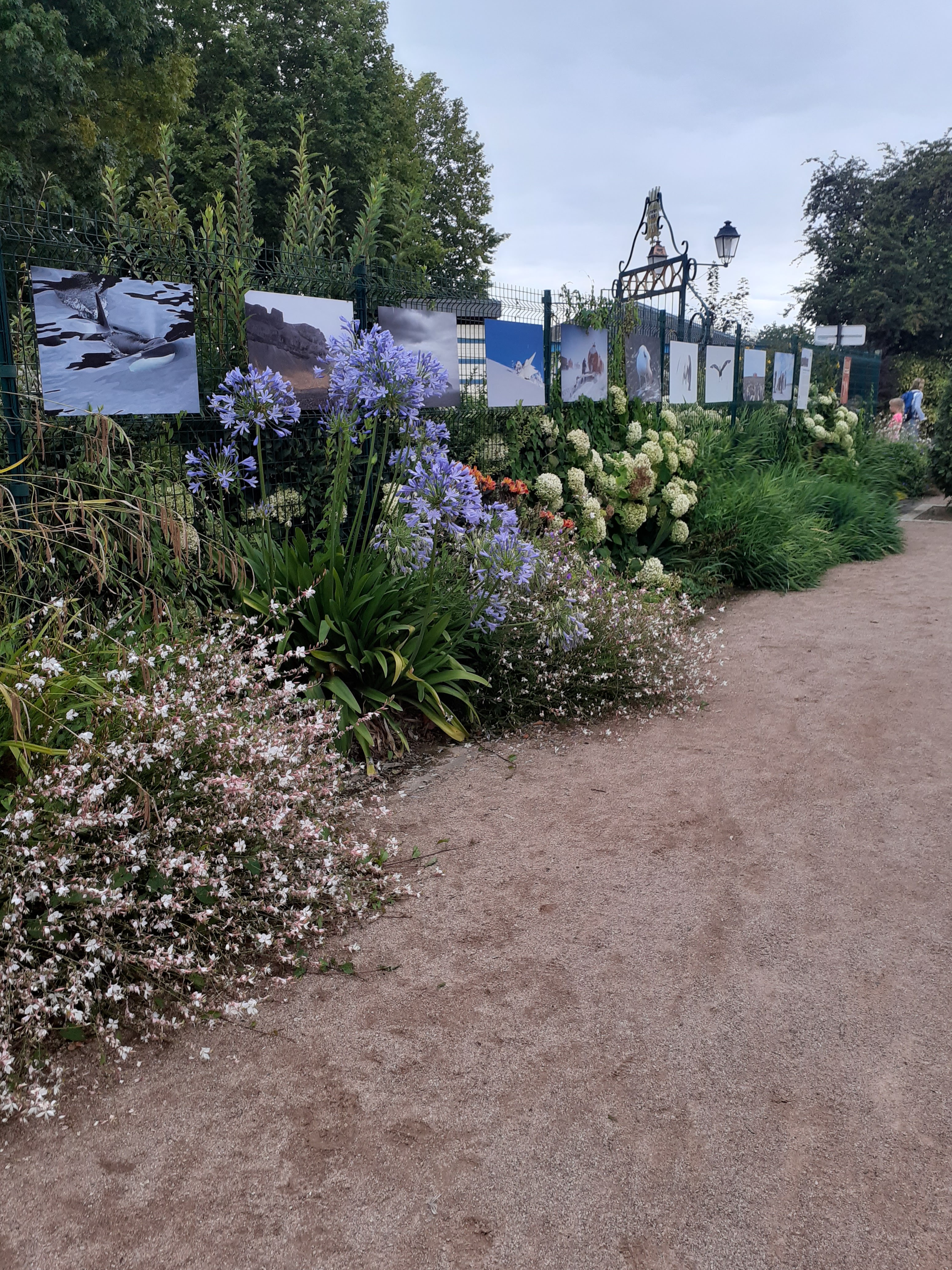 Photo n° 3 de l'avis de Laure.l fait le 15/08/2019 à 06:59