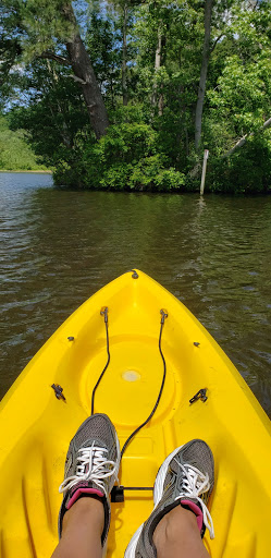 Park «Killens Pond State Park», reviews and photos, 5025 Killens Pond Rd, Felton, DE 19943, USA