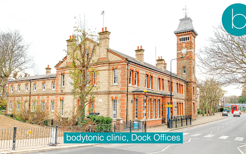 bodytonic clinic - Canada Water SE16 Osteopathy, MSK Physio and Health Clinic image