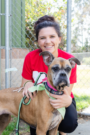 Real Estate Agency «Jeff Cook Real Estate», reviews and photos