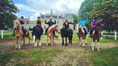 Touraine Cheval à La Chapelle-aux-Naux