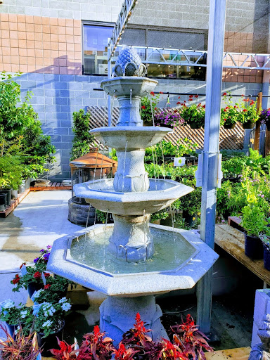 Hardware Store «Strand Ace Hardware- Escalon», reviews and photos, 3360 McHenry Ave, Escalon, CA 95320, USA