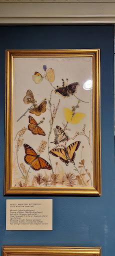 Museum «Lightner Museum», reviews and photos, 75 King St, St Augustine, FL 32084, USA