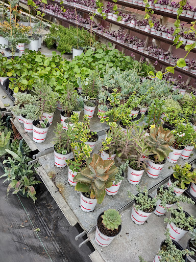 Plant Nursery «Blooming Acres», reviews and photos, 7561 State Rd, Wadsworth, OH 44281, USA