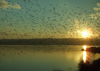 Penny Karle Photography