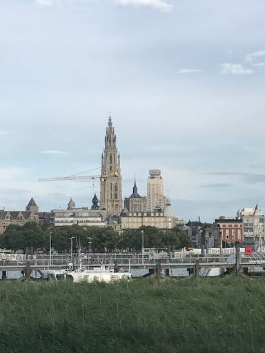 Make Antwerp Great Again-city tours - Local guides