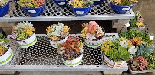 Home Improvement Store «The Home Depot», reviews and photos, 24332 El Toro Rd, Laguna Hills, CA 92653, USA