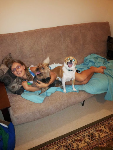 Pet Boarding Service «Howliday Inn Suites & Treats Pet Resort», reviews and photos, 1 Davis Ct, Hurricane, WV 25526, USA