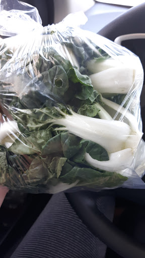 Grocery Store «Delicate Oriental Grocery», reviews and photos, 5394 Kemps River Dr # 110, Virginia Beach, VA 23464, USA