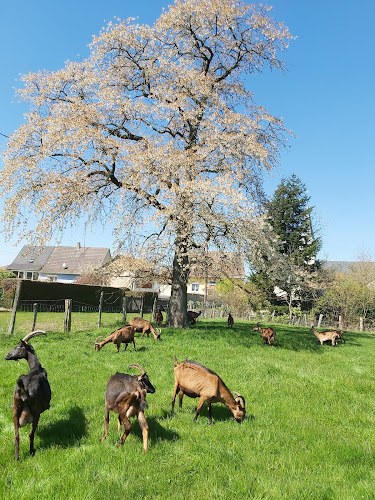 Ferme d'élevage Ferme SCEA Weybrecht - Doris LUX Reiningue