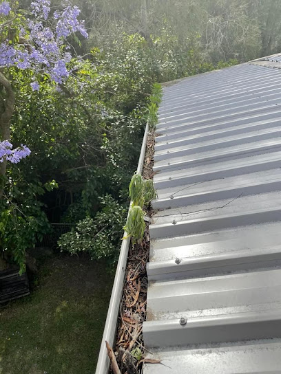 Easy gutter cleaning and roof repairs