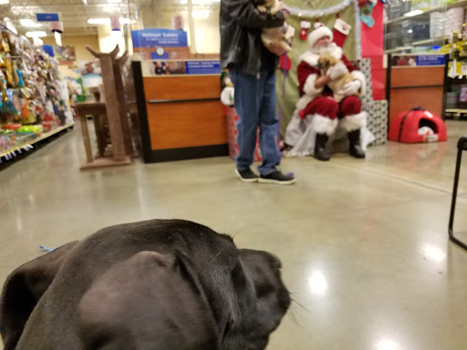 Pet Supply Store «PetSmart», reviews and photos, 142 Woodstock Square Ave, Woodstock, GA 30189, USA