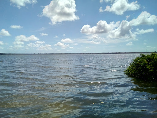 Memorial Park «Veterans Memorial Park», reviews and photos, 250 Shore Dr E, Oldsmar, FL 34677, USA