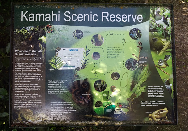Kamahi (Edendale) Scenic Reserve - Invercargill
