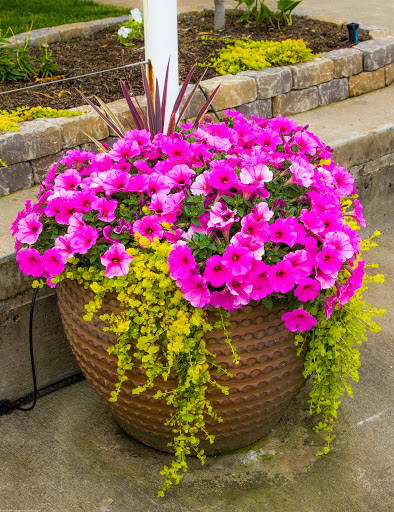 Funeral Home «Johnson Funeral Home», reviews and photos, 134 Missouri Ave S, Salem, OR 97302, USA