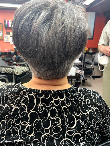 Beauty Salon «Signature Hairstyle Beauty Salon», reviews and photos, 10526 Old Olive Street Rd, Creve Coeur, MO 63141, USA