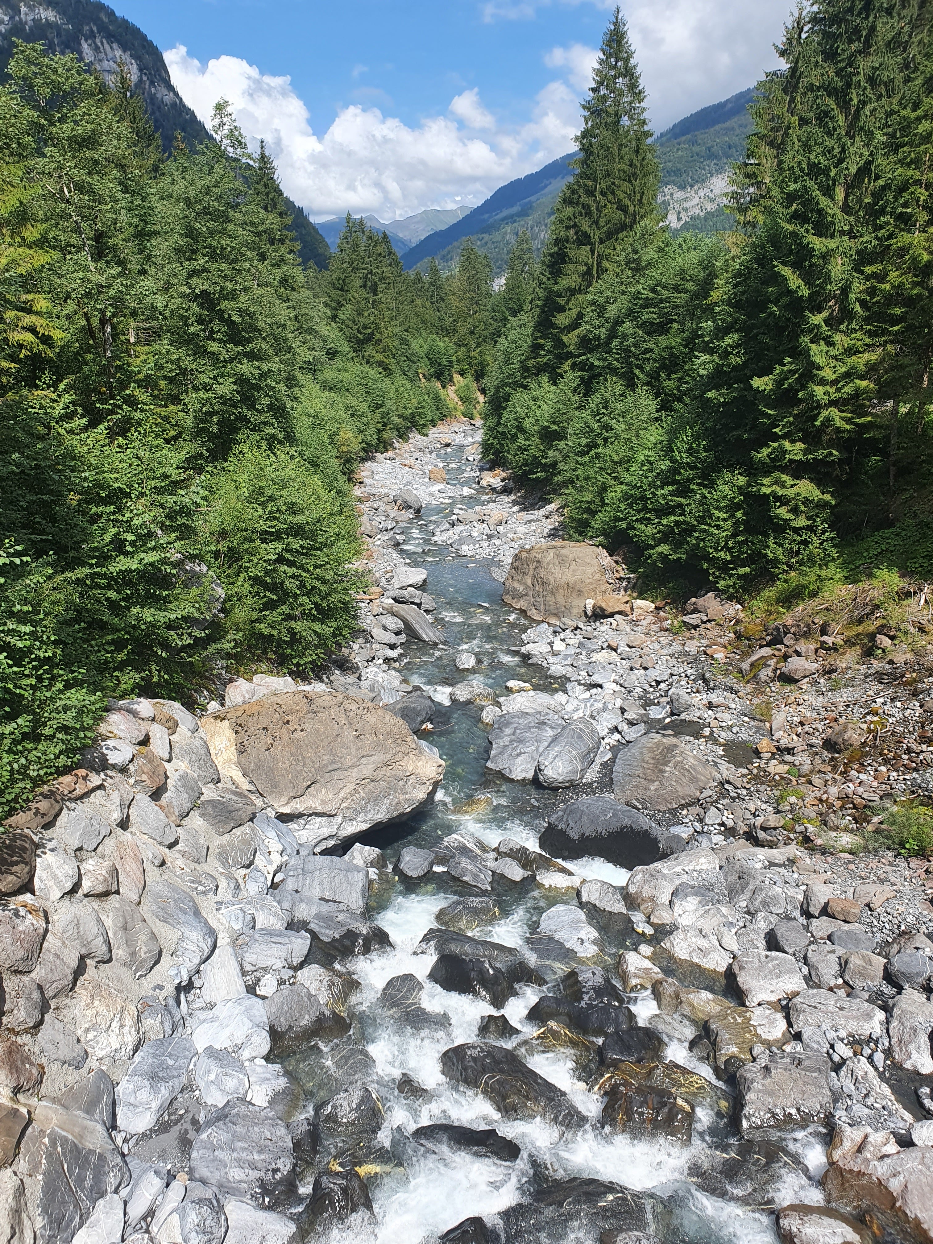 Photo n° 3 de l'avis de D.a fait le 24/08/2021 à 07:42