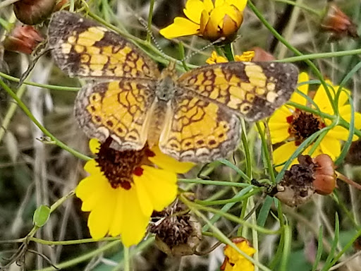 Nature Preserve «Governor Bridge Natural Area», reviews and photos, 7600 Governor Bridge Rd, Bowie, MD 20716, USA