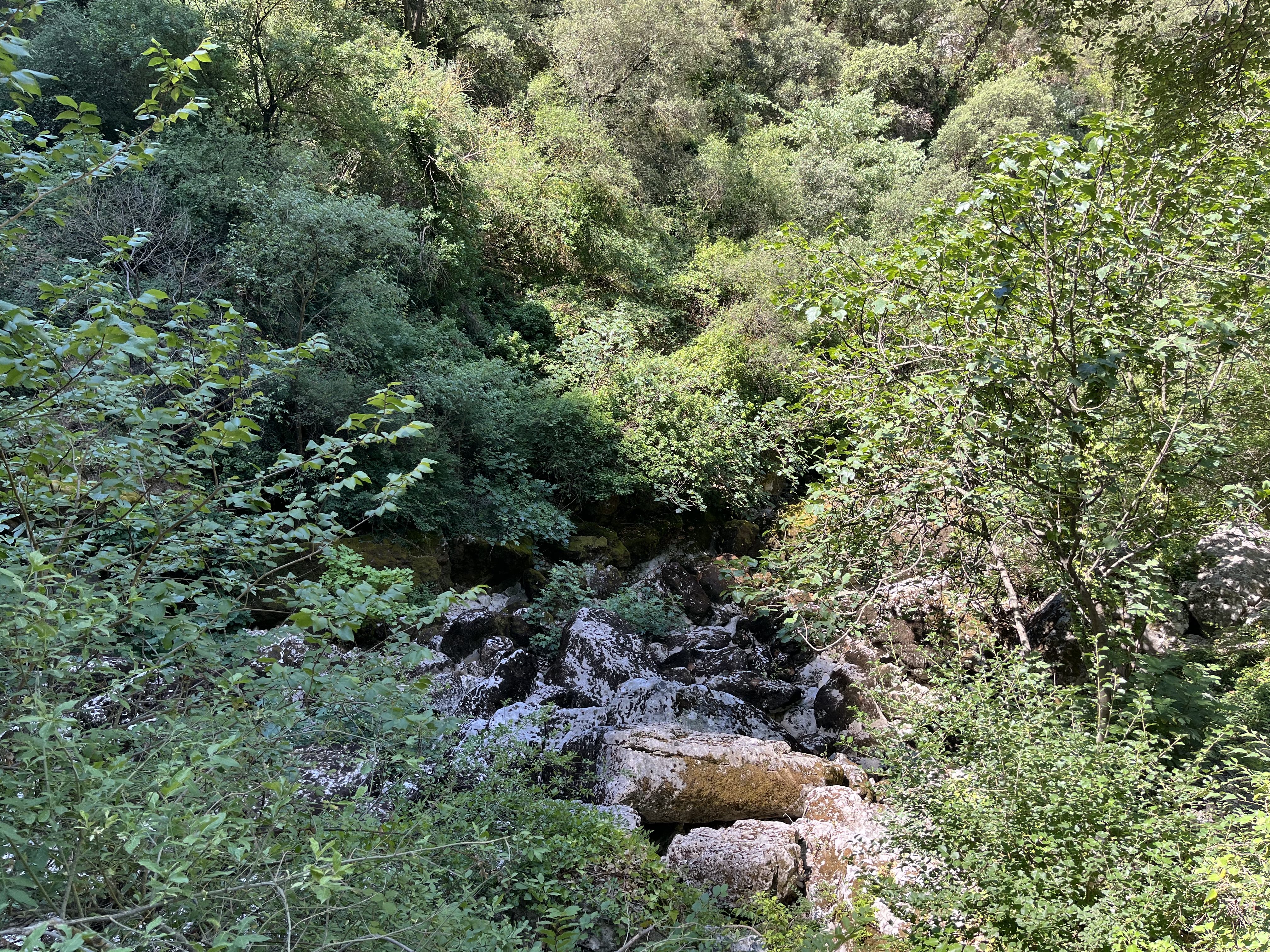 Photo n° 2 de l'avis de marcia.i fait le 25/06/2022 à 14:34