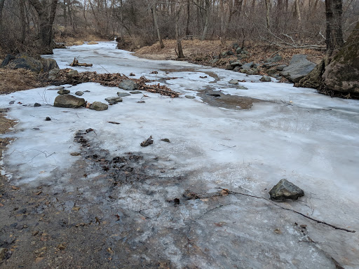 Park «Pilgrim Hill Local Park», reviews and photos, 1615 E Randolph Rd, Silver Spring, MD 20904, USA