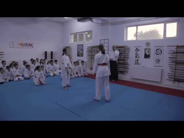 Școala de Aikido Constanța - <nil>