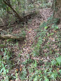 岩屋古墳群(町指定史跡)