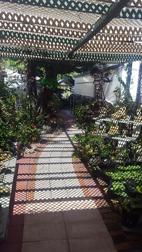 Florist «Thai-Rific Orchids Inc», reviews and photos, 5313 Gulfport Blvd S, Gulfport, FL 33707, USA