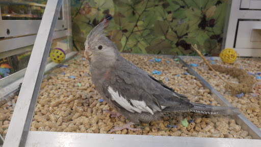 Pet Supply Store «PetSmart», reviews and photos, 1297 Promenade Pl, Eagan, MN 55121, USA