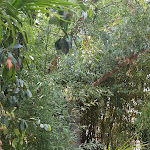 Photo n° 3 de l'avis de Sylvie.o fait le 21/08/2021 à 17:35 pour La Ferme de Bruges à Bruges