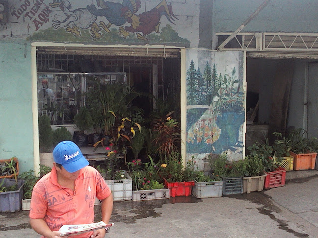 Opiniones de Jardines Y Plantas en Guayaquil - Centro de jardinería