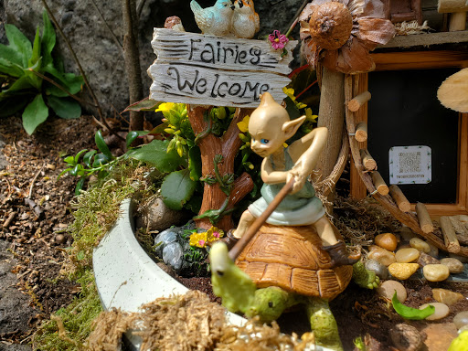 Park «Dorchester Park», reviews and photos, 2180 Dorchester Ave, Dorchester, MA 02124, USA