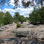 Photo n° 1 de l'avis de Martin.n fait le 24/05/2021 à 09:49 pour Les Gorges d'Apremont à Fontainebleau