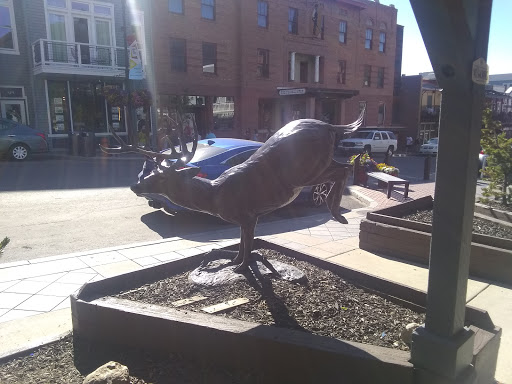 Market «Park Silly Sunday Market», reviews and photos, 780 Main St, Park City, UT 84060, USA