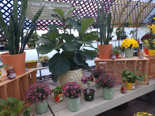 Hardware Store «Hagan Ace», reviews and photos, 3050 US-1, St Augustine, FL 32086, USA