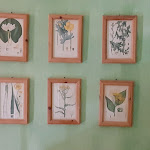 Photo n°2 de l'avis de Ariane.a fait le 02/07/2023 à 16:47 sur le  Graziella Patio Hotel à Arezzo