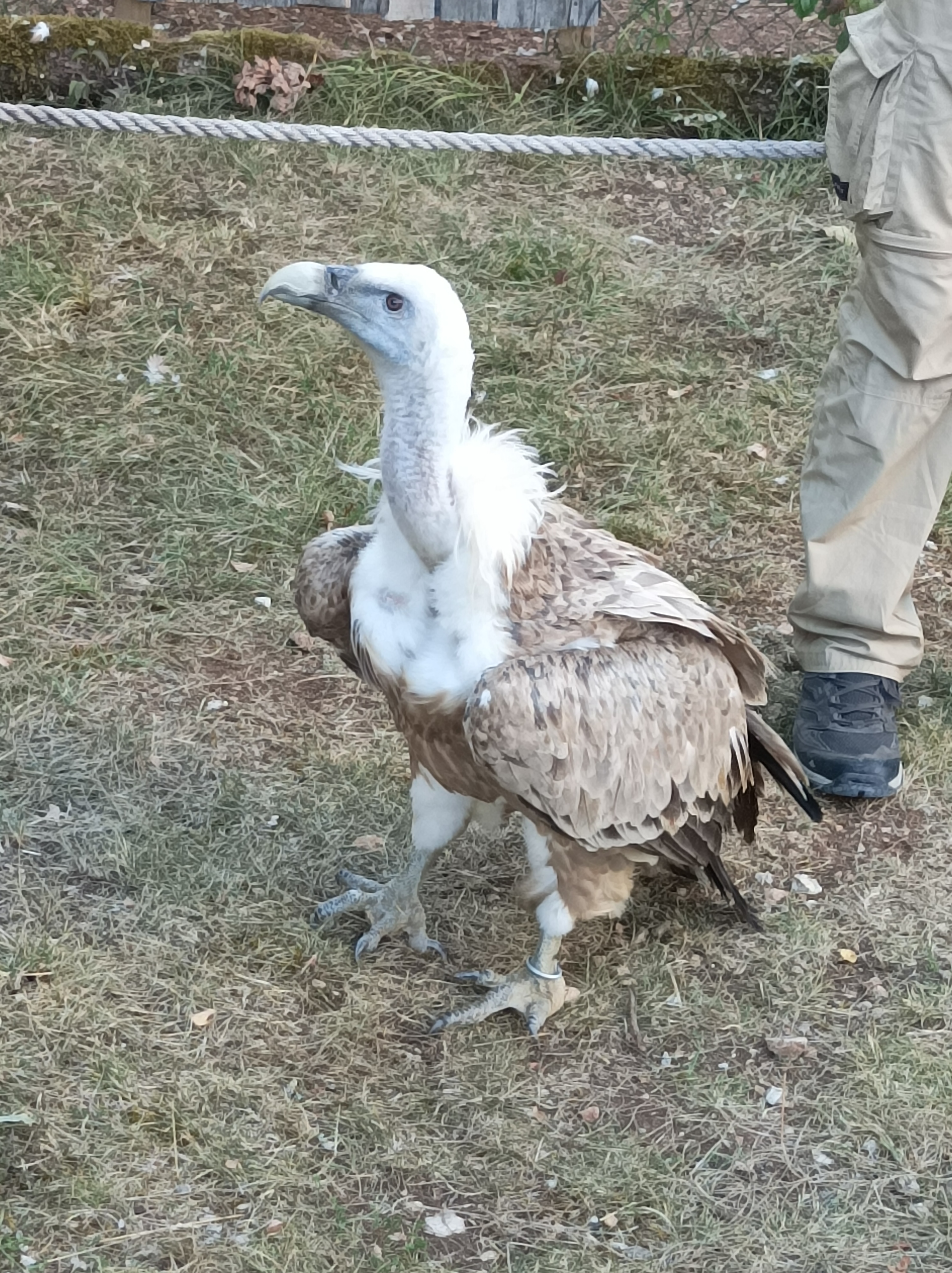Photo n° 1 de l'avis de Helene.a fait le 28/07/2023 à 16:10