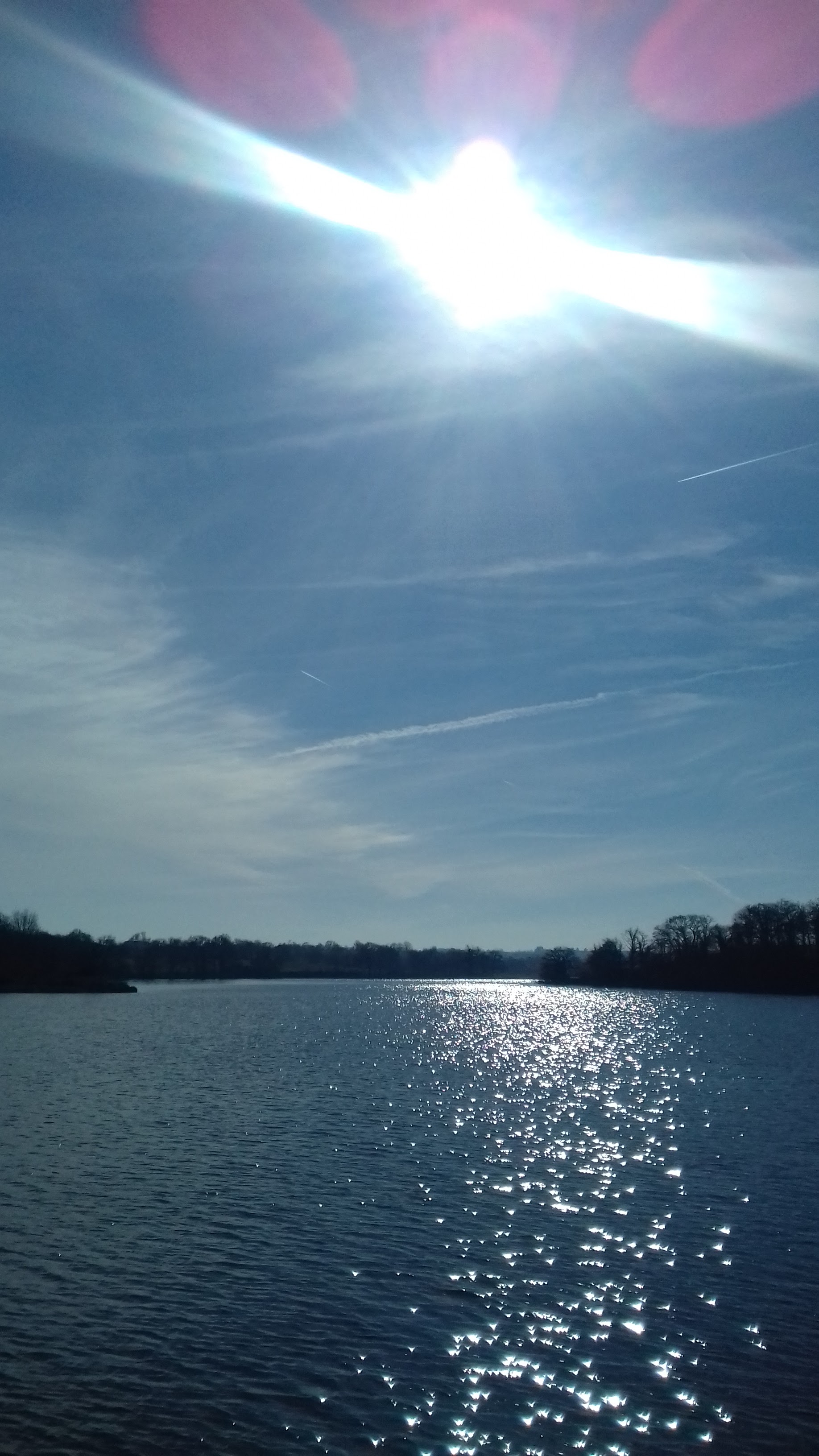 Photo n° 1 de l'avis de stefanie.o fait le 24/02/2019 à 16:12