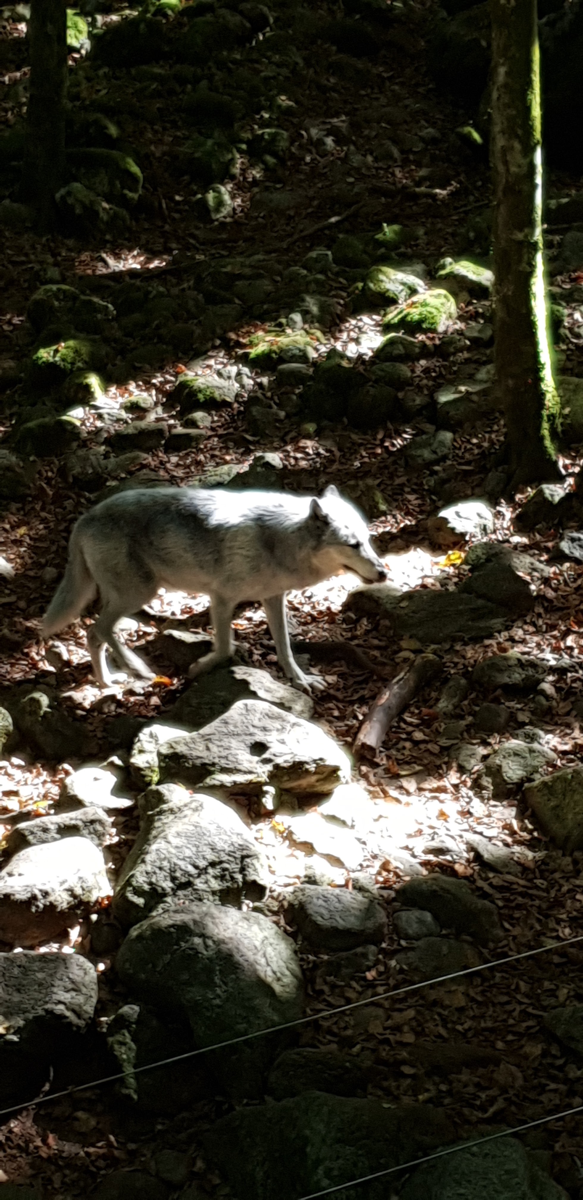 Photo n° 17 de l'avis de Christophe.e fait le 26/09/2018 à 10:29