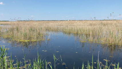 Озеро у Михайла