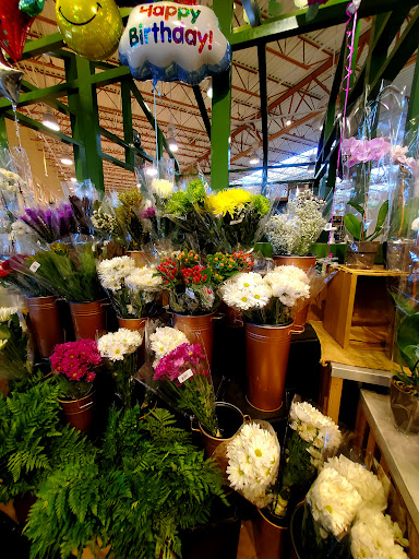 Grocery Store «Lowes Foods of Leland», reviews and photos, 1152 East Cutlar Crossing, Leland, NC 28451, USA