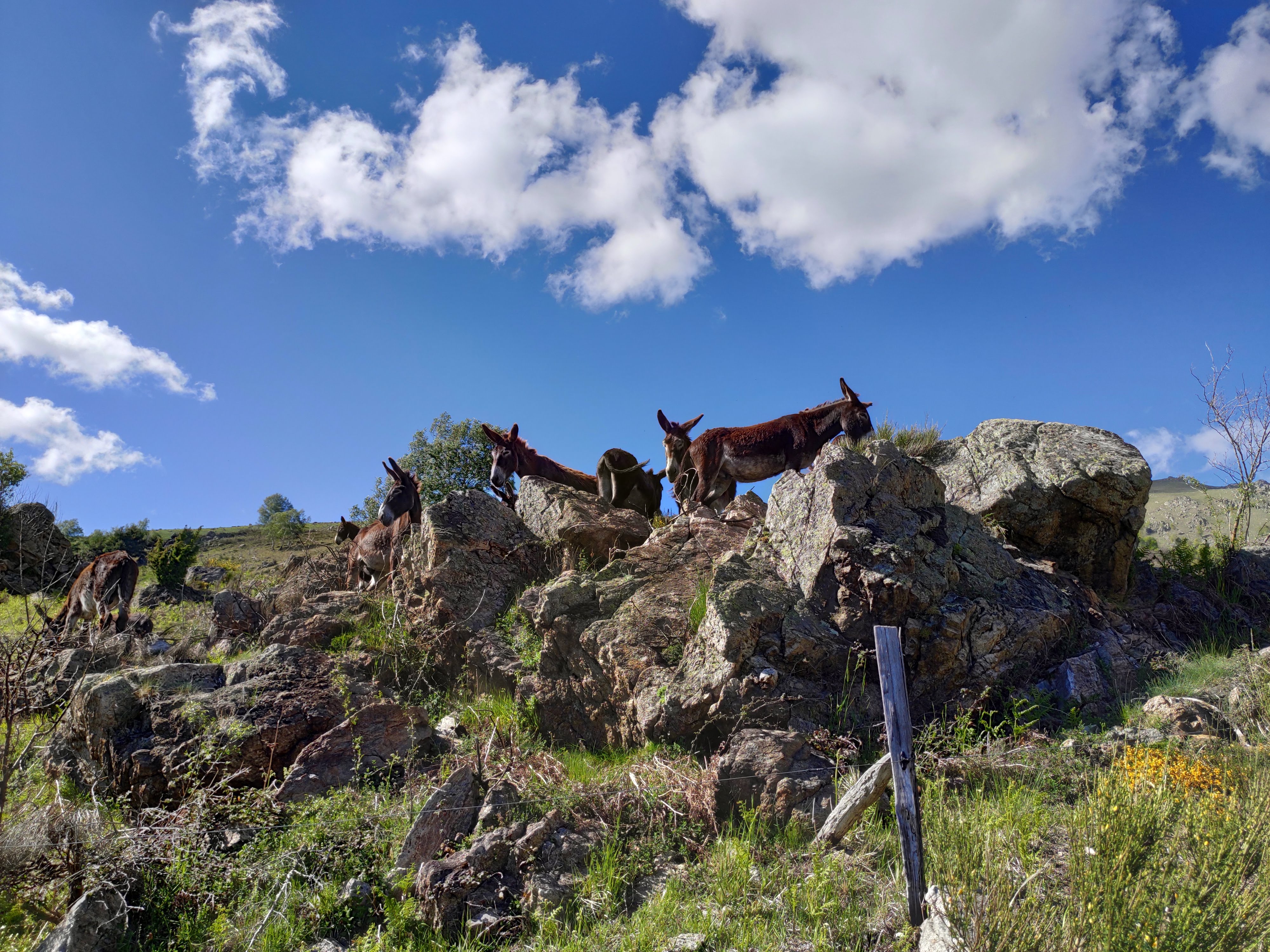 Photo n° 32 de l'avis de Florian.o fait le 04/06/2019 à 10:25