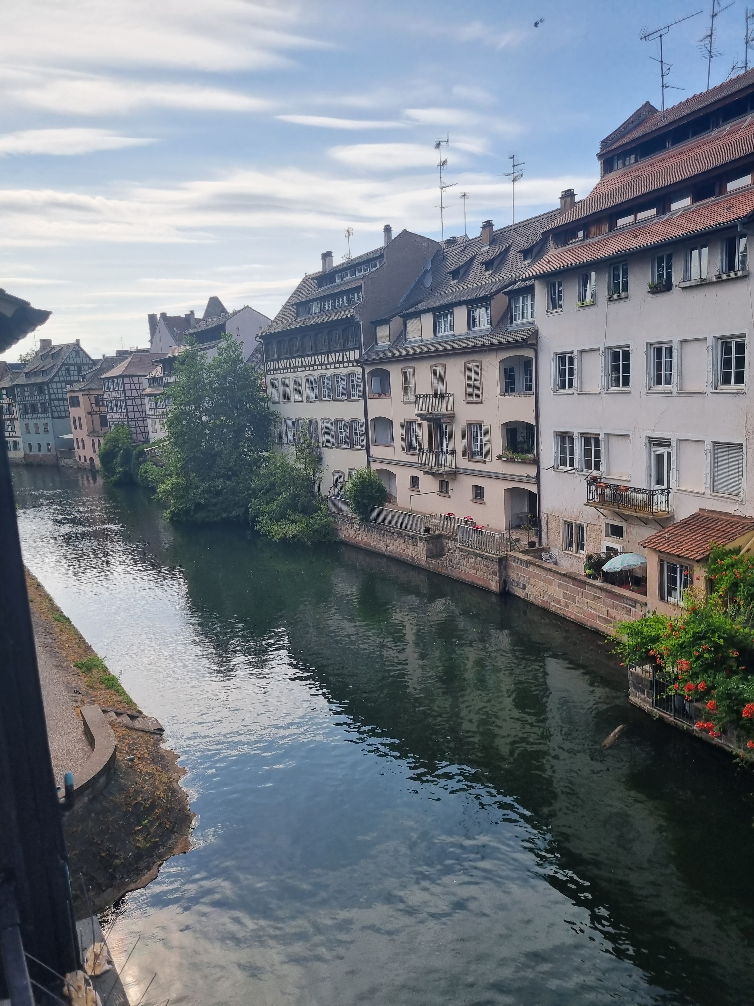 Photo n° 2 de l'avis de BERK.A fait le 07/07/2023 à 17:08