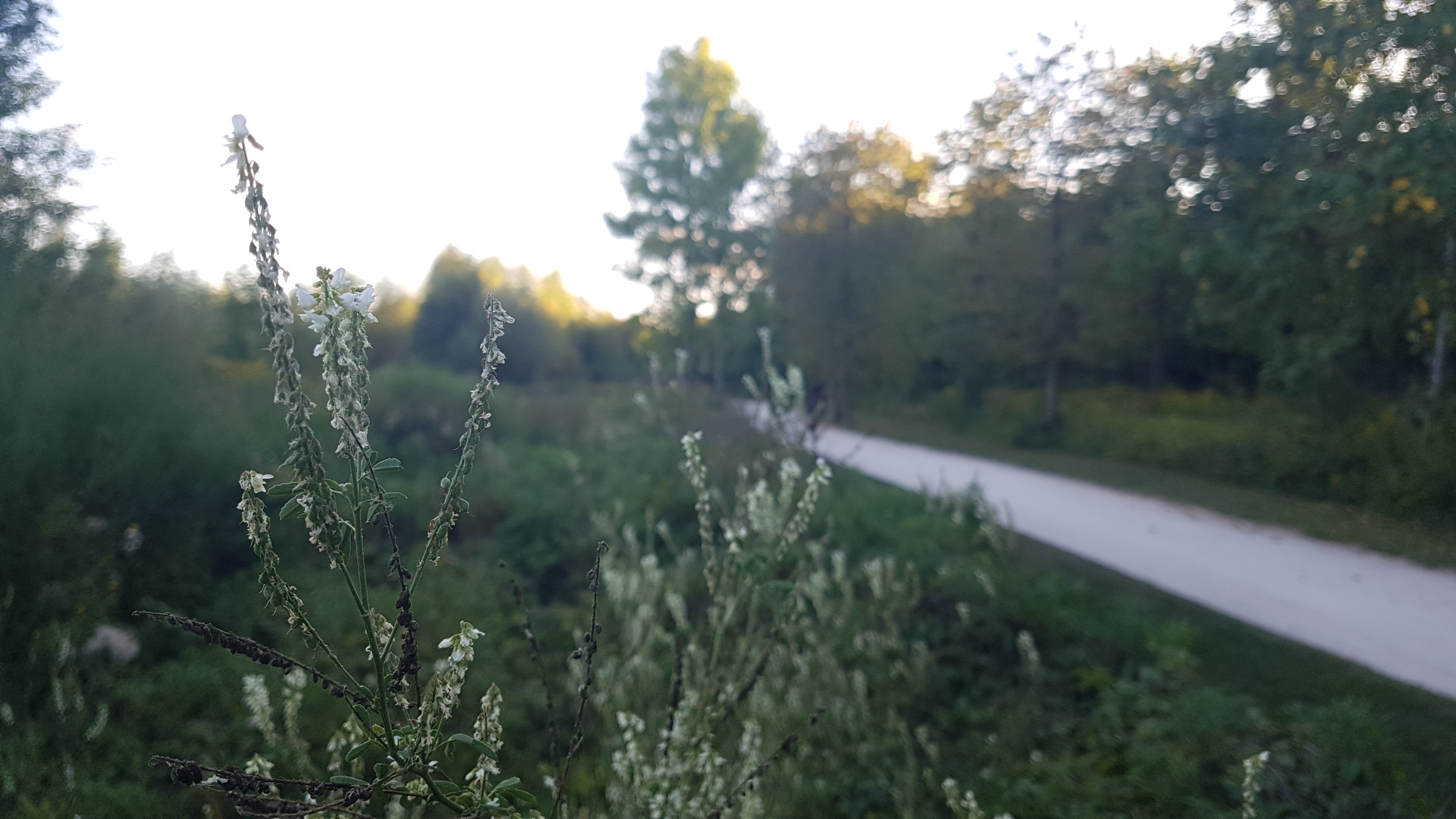 Photo n° 8 de l'avis de Sanjy.u fait le 20/09/2019 à 13:45